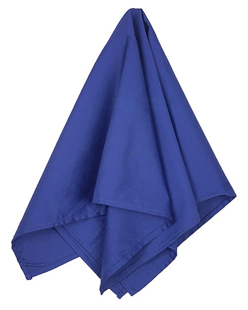 Big Accessories - Bandana- BA001