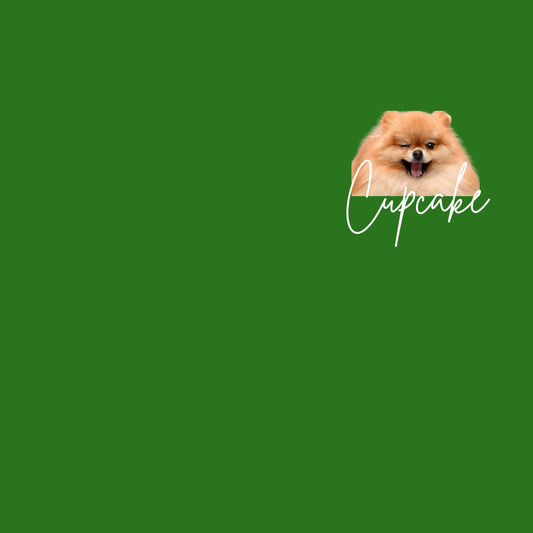 HK_E_pets3