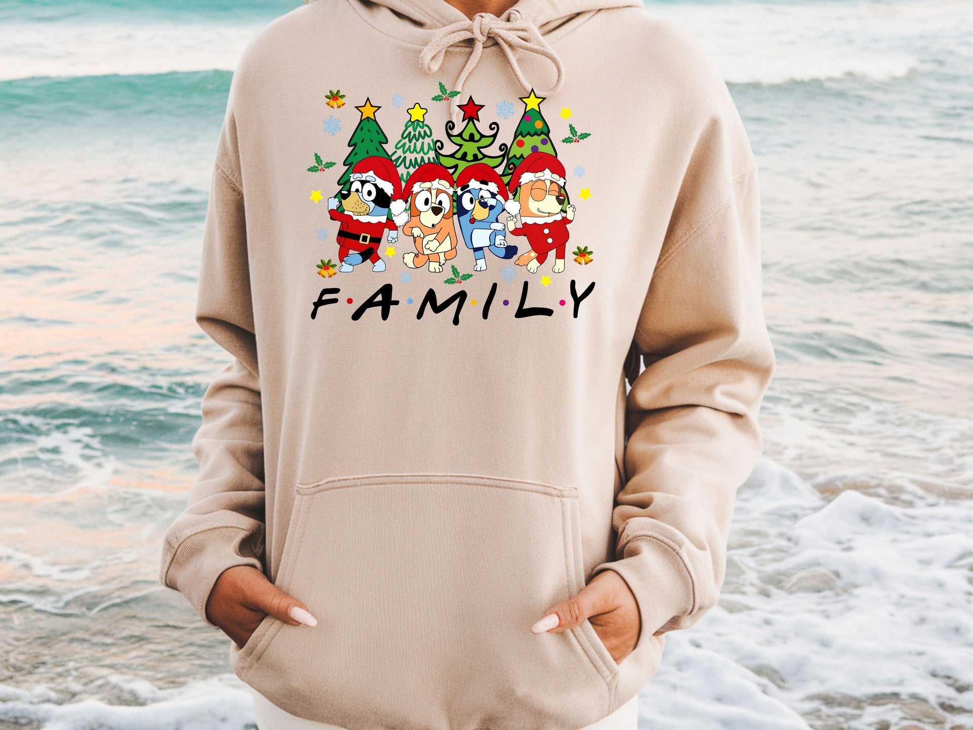 Family Christmas Sweatshirt & Hoodie | Unisex Adult, Youth, Toddler Sizes | Matching Holiday Outfit | Cute Festive Winter Pullover Gift-7C004