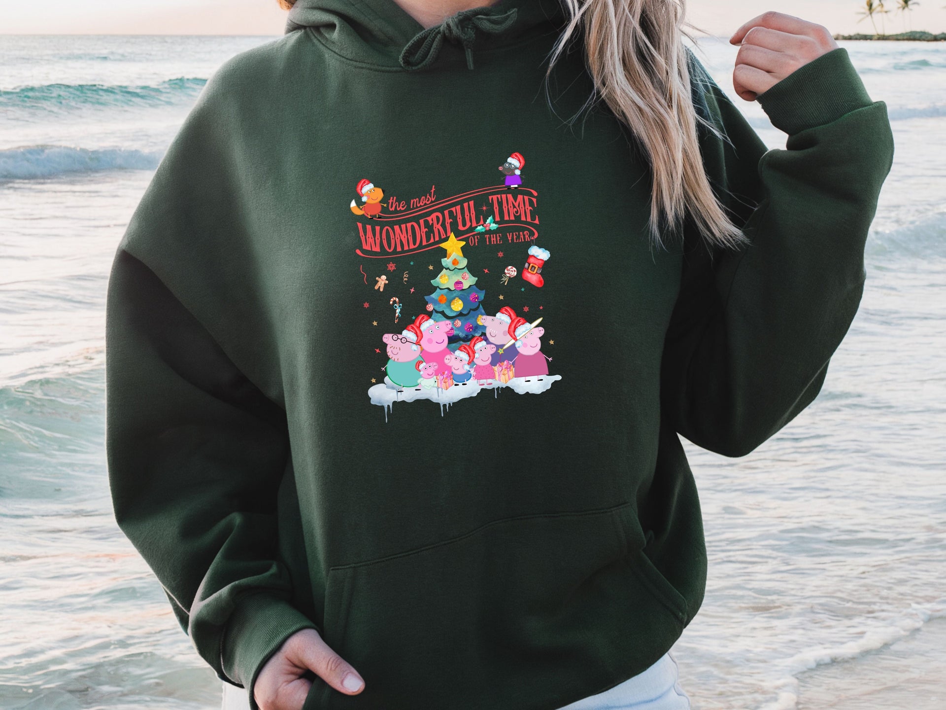 The Most Wonderful Time of the Year Hoodie & Sweatshirt | Cute Family Christmas Pullover | Holiday Cartoon Style Outfit-7C047